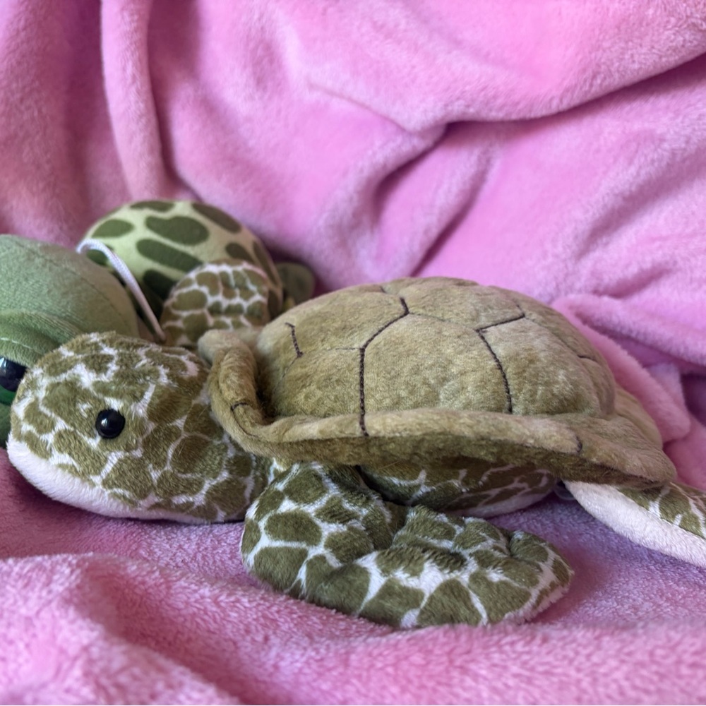 Sea turtle plush ( Douglas) - Picture 2 of 3
